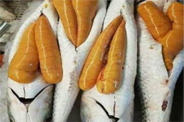 ماذا يحدث لجسمك عند تناول البطارخ؟.. فوائد مذهلة لن تتوقعها