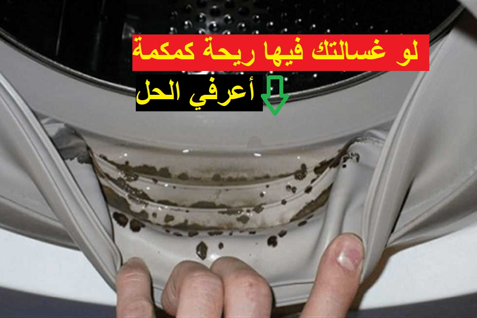 لو غسالتك بتعمل ريحة كمكمه.. طريقة تنظيف الغسالة الاتوماتيك بمكون سحرى هيخلي ريحتها فل وتعطير دائم للملابس 5 لو غسالتك بتعمل ريحة كمكمه.. طريقة تنظيف الغسالة الاتوماتيك بمكون سحرى هيخلي ريحتها فل وتعطير دائم للملابس