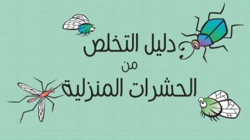6 نصائح للقضاء على الحشرات المنزلية .. أهمها الحفاظ على النظافة وتهوية المنزل