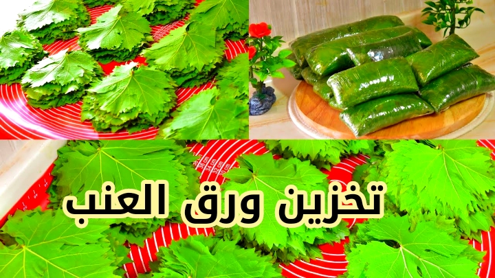 خزين الموسم... تعرفي على طريقة تخزين ورق العنب في البرطمان لمدة سنة دون تغير في اللون أو الطعم!! 5 خزين الموسم… تعرفي على طريقة تخزين ورق العنب في البرطمان لمدة سنة دون تغير في اللون أو الطعم!!