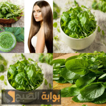 هيحسدوكي على طول شعرك…عشبة برخص التراب وتأثيرها الكبير لنمو وكثافة الشعر مش هتعرفي تلميه