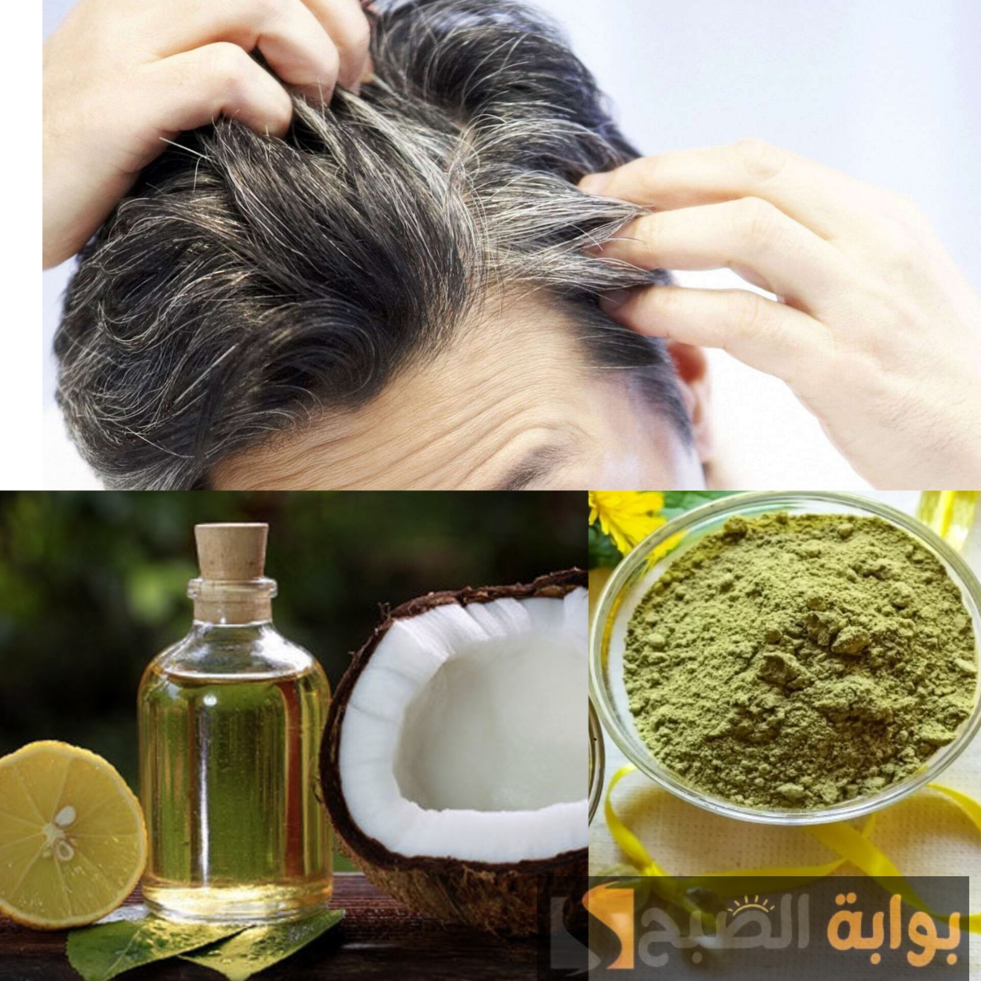 هترجعي شباب في غمضه عين..الوصفة المثالية لحل مشكلة شيب الشعر انسي الشعر الأبيض نهائيا 5 هترجعي شباب في غمضه عين..الوصفة المثالية لحل مشكلة شيب الشعر انسي الشعر الأبيض نهائيا