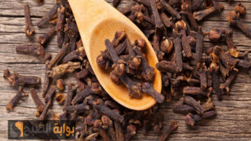 ضيف غالي في بيتك متعرفش قيمته.. معجزة في القرنفل لما تستخدمه بالطريقة دي هتندم انك معرفتهاش طول عمرك