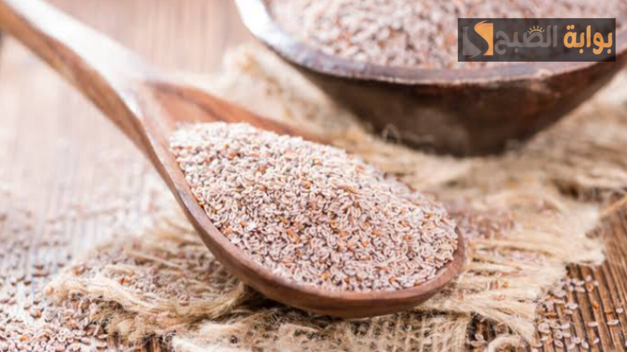 عودك هيبقى في المظبوط منه.. عشبة طبيعية لتخسيس البطن والجناب والأرداف