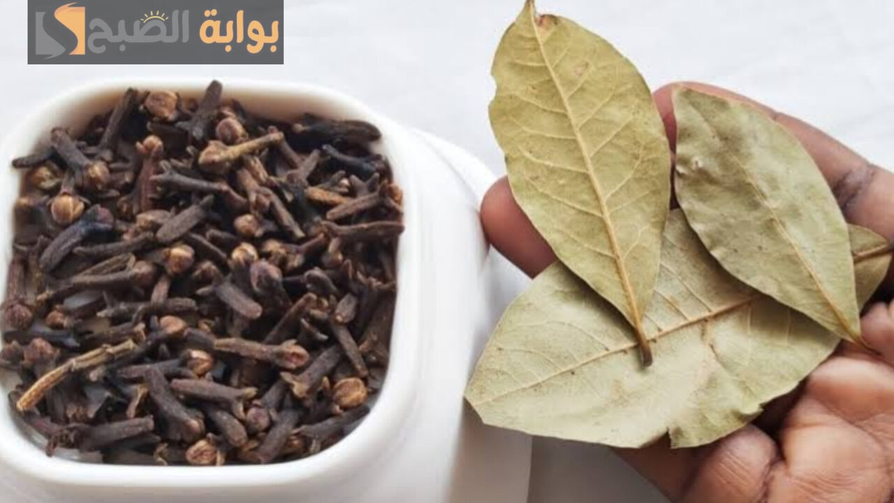 اخلطي ورق الغار مع القرنفل بتلك الطريقة وشاهدي المفاجأة بنفسك 5 اخلطي ورق الغار مع القرنفل بتلك الطريقة وشاهدي المفاجأة بنفسك