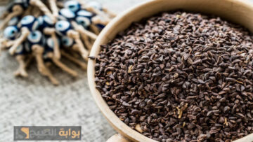 سر مذهل لازم تعرفوه.. هذه العشبة الجبارة تحتوي على فائدة ثمينة لن تتخيل قيمتها الحقيقية
