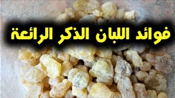 فوائد لبان الذكر على الريق جربها لمدة 7 أيام ولاحظ الفرق بنفسك
