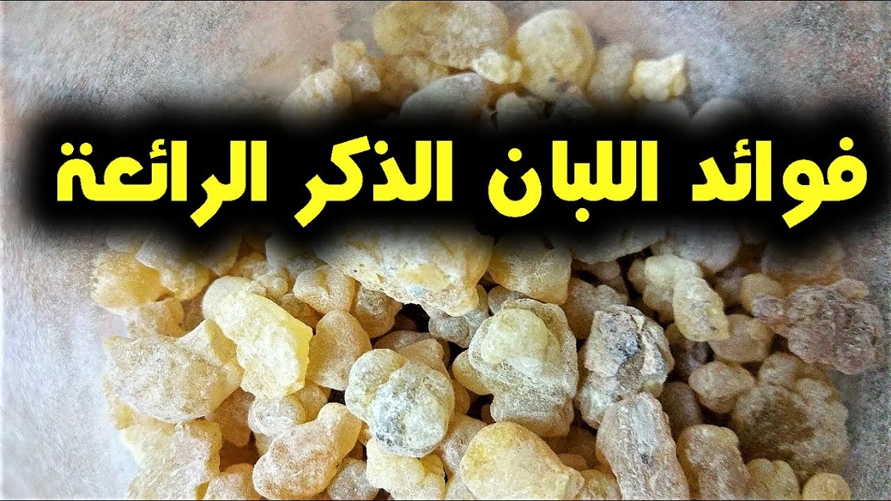 فوائد لبان الذكر على الريق جربها لمدة 7 أيام ولاحظ الفرق بنفسك