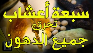 بدون رجيم أقوى سبعة أعشاب للتنحيف وحرق الدهون خسارة الوزن في 5 أيام