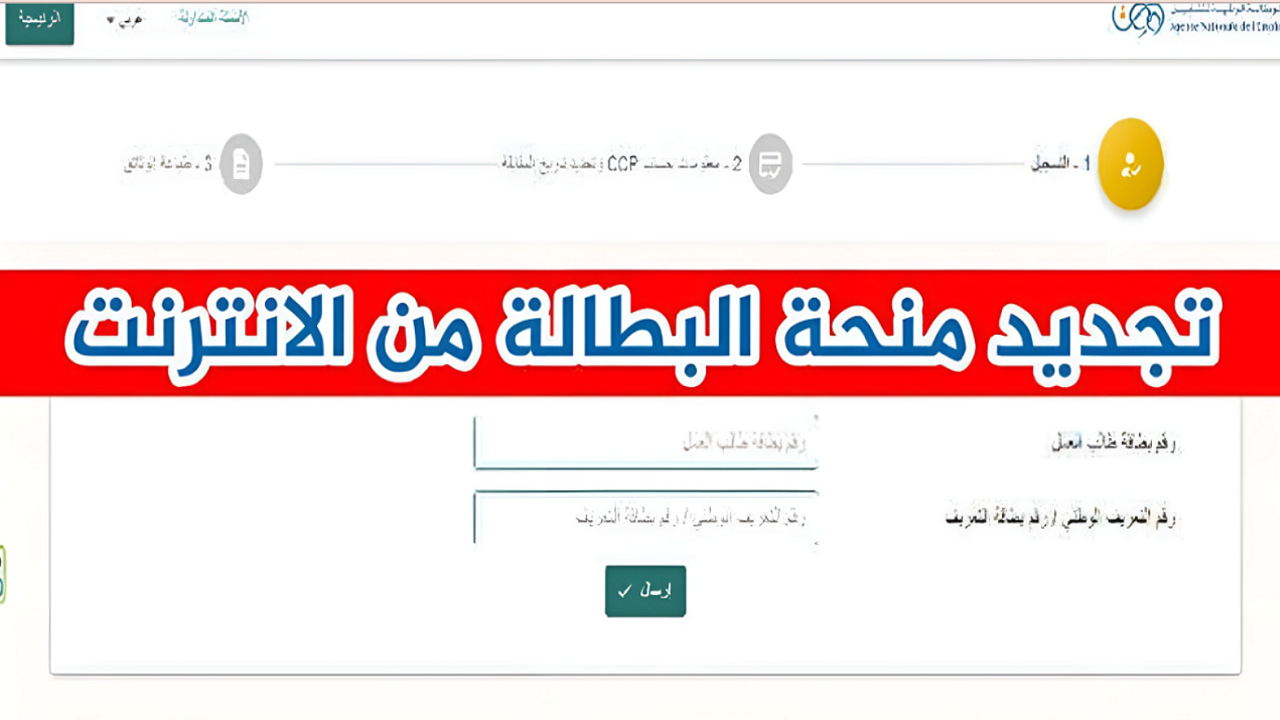 ما هو الرابط الرسمي لتجديد منحة البطالة 2024 بالجزائر؟