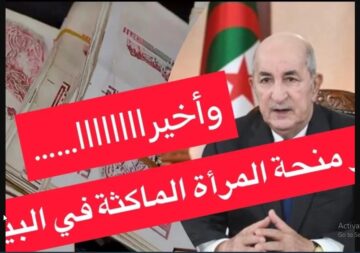 NOW “منحة الجزائر 2024” رابط تسجيل منحة المرأة الماكثة في البيت عبر موقع anem.dz وكالة التشغيل الجزائرية