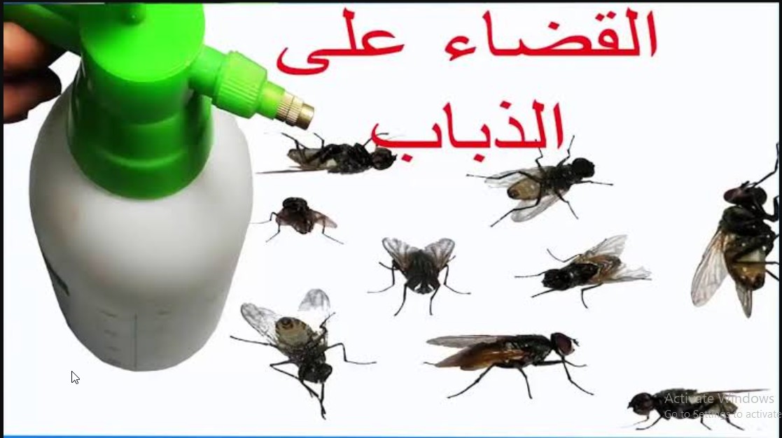 وداعا لللذباب.. وصفات طبيعية لطرد الذباب من المنزل القضاء علىه نهائيا بدون أي تكلفة مادية تخلصى من الحشرات الطائرة بدون مبيدات 5 وداعا لللذباب.. وصفات طبيعية لطرد الذباب من المنزل القضاء علىه نهائيا بدون أي تكلفة مادية تخلصى من الحشرات الطائرة بدون مبيدات