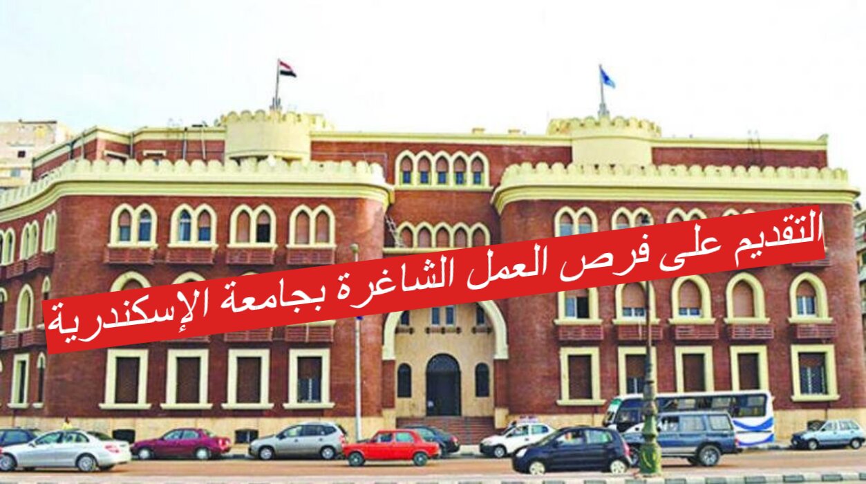 التقديم على فرص العمل الشاغرة بجامعة الإسكندرية...الشروط والمستندات المطلوبة 5 التقديم على فرص العمل الشاغرة بجامعة الإسكندرية…الشروط والمستندات المطلوبة