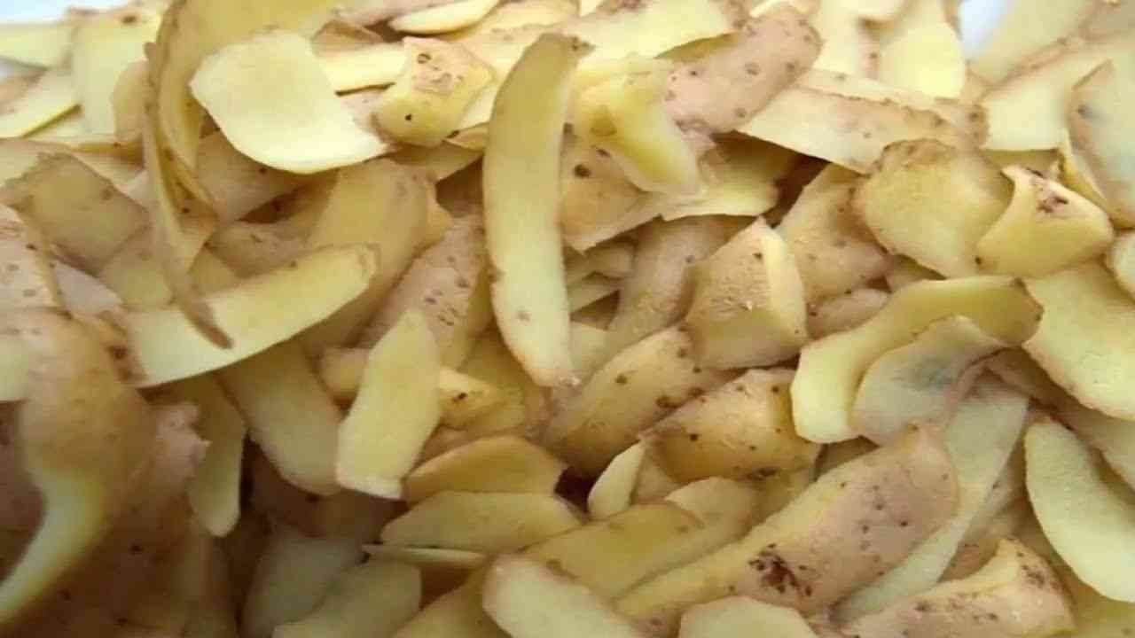 اختراع هيجيب من الاخر. ارمي قشر البطاطس في الميه المغلية واعملي وصفه الاميرات هتخليكي شابه في العشرينات مهما كان عمرك 5 اختراع هيجيب من الاخر. ارمي قشر البطاطس في الميه المغلية واعملي وصفه الاميرات هتخليكي شابه في العشرينات مهما كان عمرك