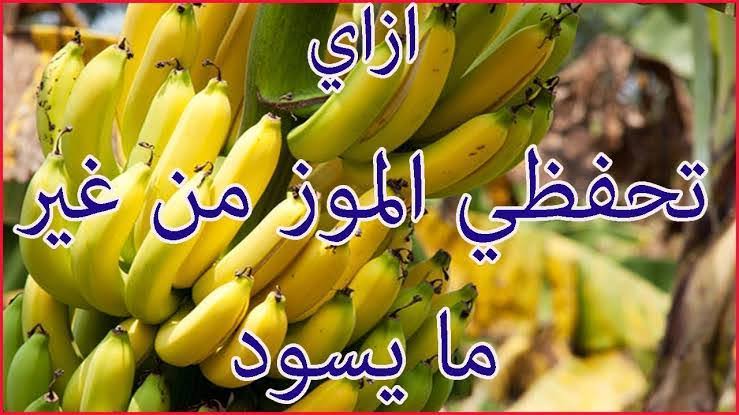 خزنيه لرمضان هيفضل معاكي طازه.. مكون رهيب لتخزين الموز لفترات طويلة بدون ما لونه يتغير ويسودّ منك 5 خزنيه لرمضان هيفضل معاكي طازه.. مكون رهيب لتخزين الموز لفترات طويلة بدون ما لونه يتغير ويسودّ منك