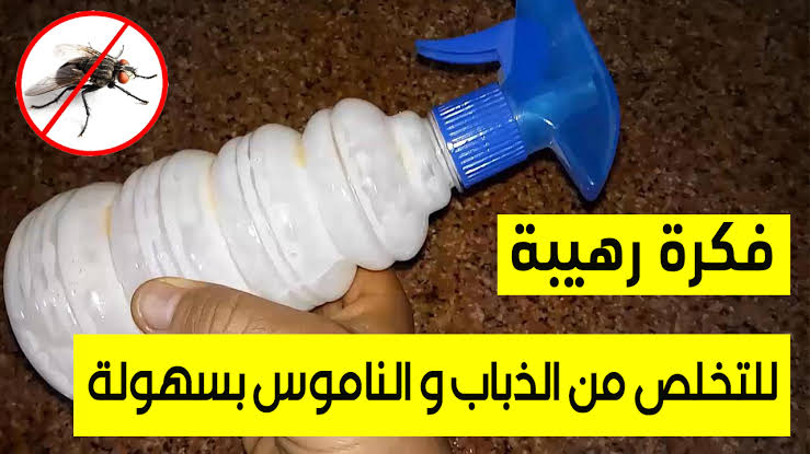 طرق التخلص من الناموس وطرده من البيت بمكونات طبيعية بدون كيماويات ومواد ضارة وروائح كريهة 5 طرق التخلص من الناموس وطرده من البيت بمكونات طبيعية بدون كيماويات ومواد ضارة وروائح كريهة
