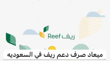 موعد صرف دعم ريف لهذا الشهر وخطوات الاستعلام عن الدعم reef.gov.sa