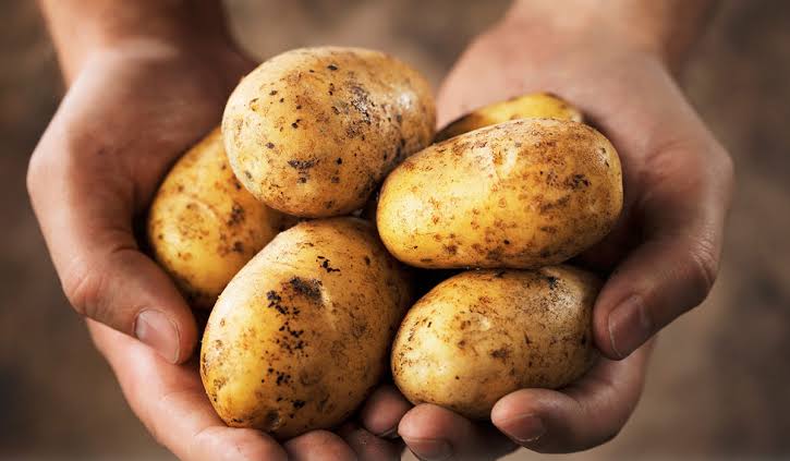 ضاع عمرنا وإحنا مش عارفين نفرق بينهم.. طريقة التمييز بين بطاطس التحمير وبطاطس الطبخ 6 ضاع عمرنا وإحنا مش عارفين نفرق بينهم.. طريقة التمييز بين بطاطس التحمير وبطاطس الطبخ