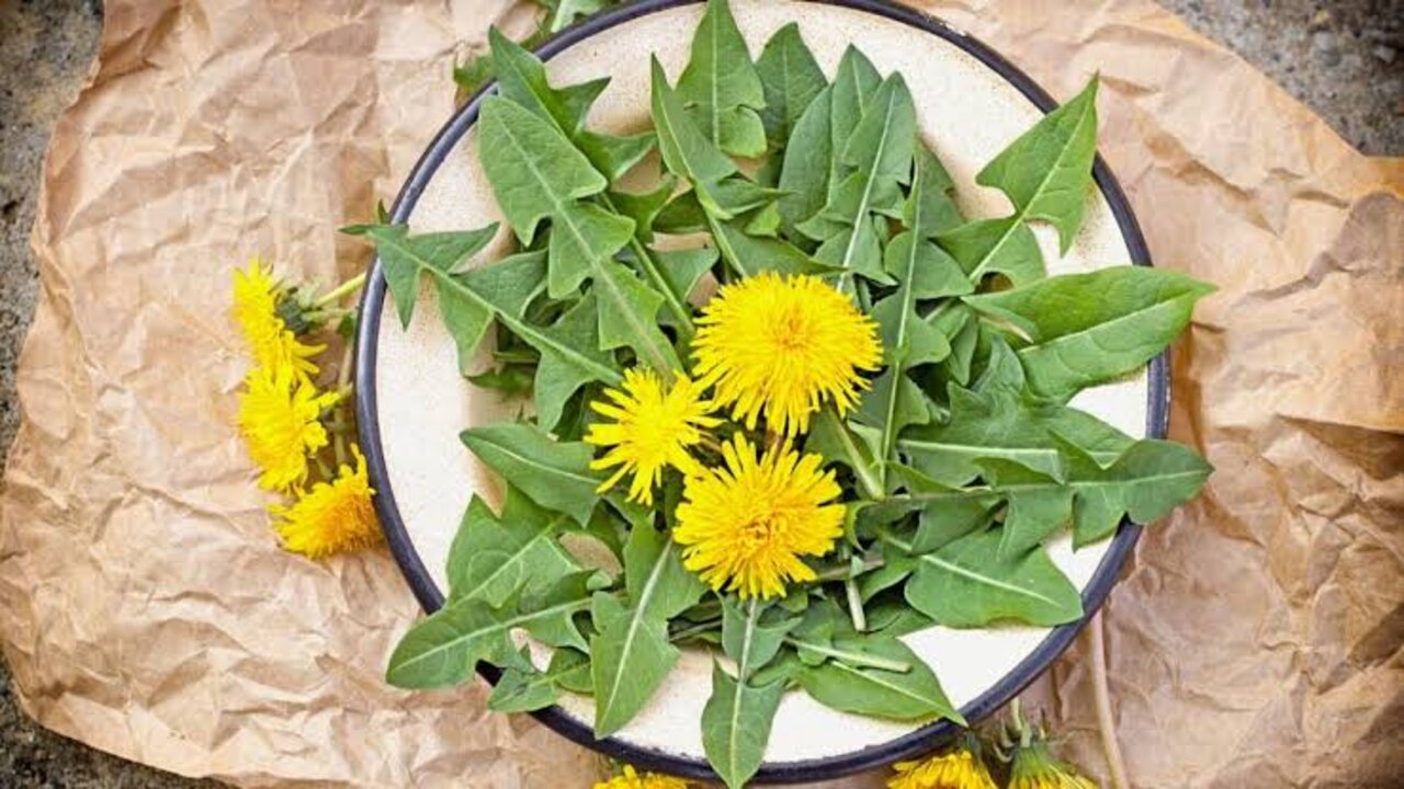 نبات بمثابة كنز فوائد هتخلي بشرتك تنور من الجمال
