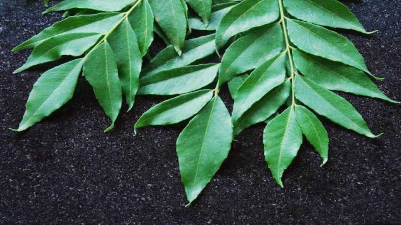 شعرك هيبقى قوي زي الحديد.. وصفة هندية سحرية لعلاج تساقط الشعر وجعله غزير وكثيف 5 شعرك هيبقى قوي زي الحديد.. وصفة هندية سحرية لعلاج تساقط الشعر وجعله غزير وكثيف