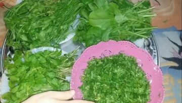 قبل رمضان.. معلقة سرية بمطبخك لتخزين الكزبرة والبقدونس والشبت من السنة للسنة بدون تغيير في لونها وطعمها هتفضل طازجة كانك شرياها