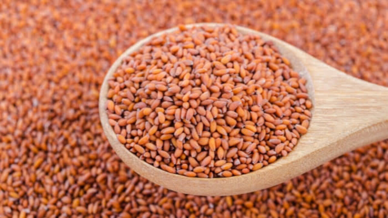 أسأل جدك عليها.. بذور ذهبية تحتوي على سر عجيب لن تستطيع تخيله 5 أسأل جدك عليها.. بذور ذهبية تحتوي على سر عجيب لن تستطيع تخيله
