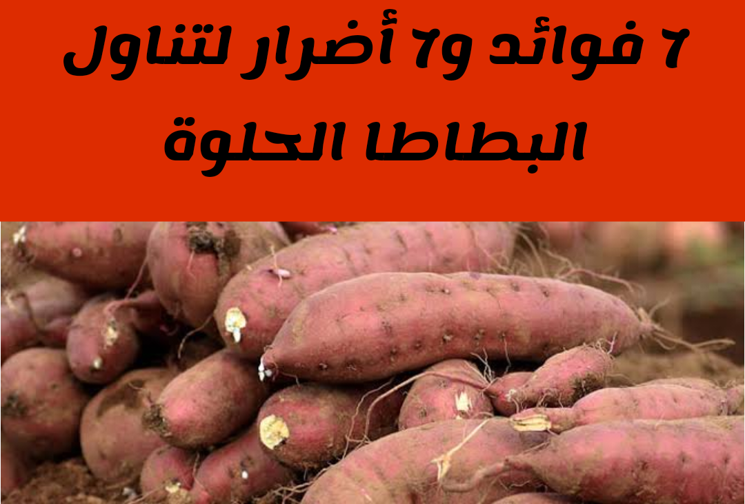 البطاطا الحلوة.. متى يفضل تناولها ومتى يجب الابتعاد عنها لبعض الأشخاص ؟!!