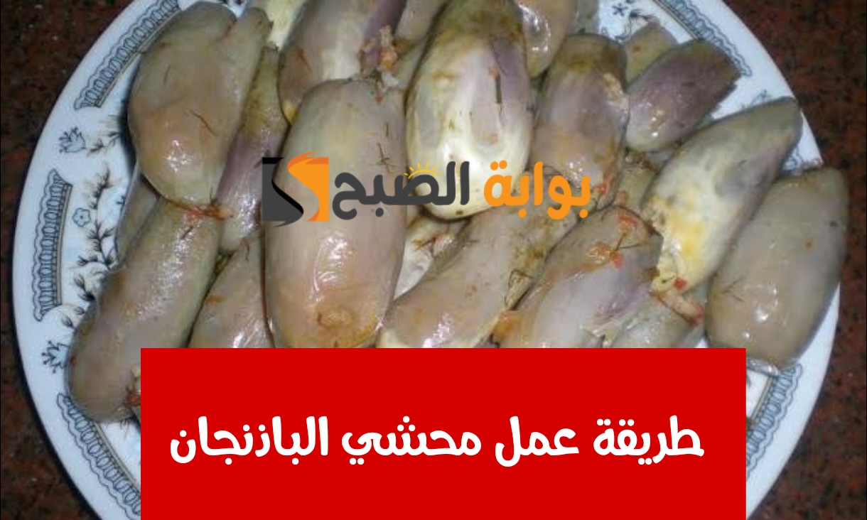 على طريقة جارتك اللهلوبة.. طريقة ومقادير عمل محشي الباذنجان الأبيض على أصوله.. بطعم زمان 5 على طريقة جارتك اللهلوبة.. طريقة ومقادير عمل محشي الباذنجان الأبيض على أصوله.. بطعم زمان