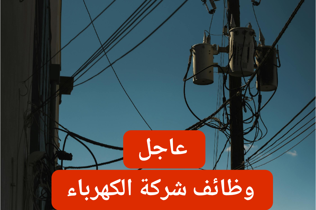 «وظائف شركة الكهرباء»: ما هي شروط الالتحاق والمستندات المطلوبة وطريقة التقديم على الوظيفة 2024 ؟!