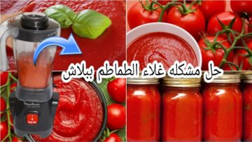 جهزيها قبل رمضان.. 20 كيلو صلصة طماطم بيتي جاهزة أصلية احلى من الشركات والمصانع وسر اللون الاحمر ضاع عمرنا بنحضرها غلط