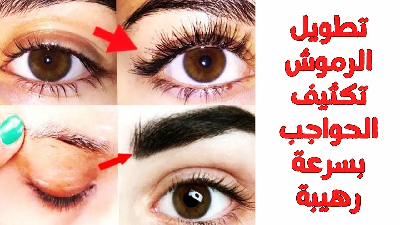طريقة تطويل الرموش بمكونات طبيعية بعيداً عن الاكستنشن اللي بيبوظ الرموش على المدى الطويل 5 طريقة تطويل الرموش بمكونات طبيعية بعيداً عن الاكستنشن اللي بيبوظ الرموش على المدى الطويل