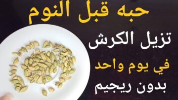 وصفة سهلة وبسيطة للتخسيس بدون رجيم وداعا لترهلات الجسم والأرداف