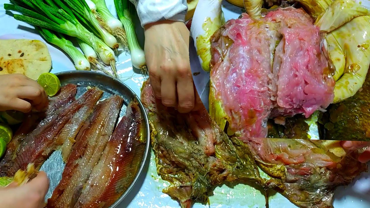 سر فسيخ الشتا المزبد السايح هتعمليف في البيت مضمون وطعمه احلي من الجاهز