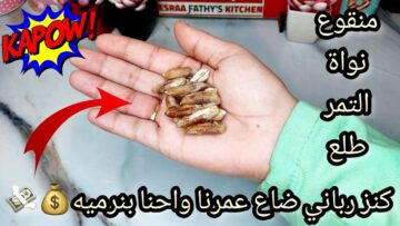 كنز بملايين.. منقوع نواه التمر ضاع عمرنا منعرفش فوائدة وبنرميه من اليوم انسي انك تستغني عنه استخدامات رهيبة