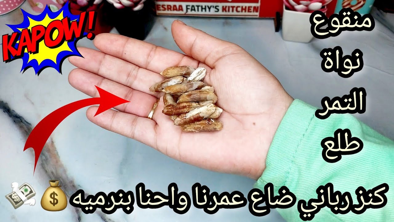 كنز بملايين.. منقوع نواه التمر ضاع عمرنا منعرفش فوائدة وبنرميه من اليوم انسي انك تستغني عنه استخدامات رهيبة