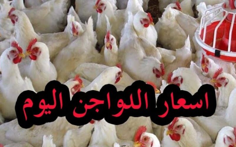 إنخفاض أسعار بورصة الدواجن اليوم الخميس 10 يناير 2024 في بداية التعاملات