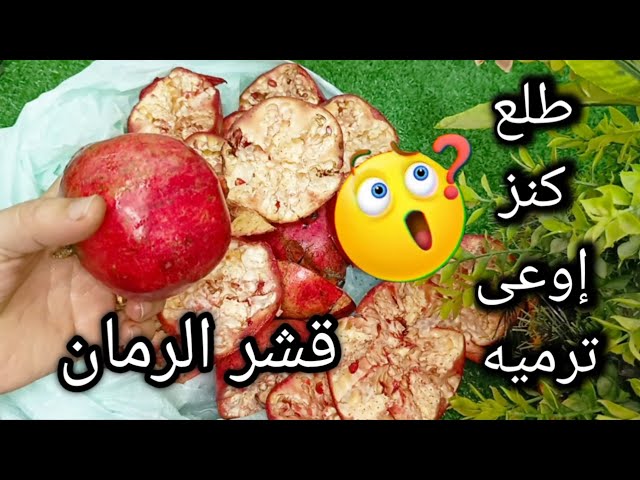 اختراع.. استحاله ترميه تاني.. قشر الرمان طلع كنز في البيت وبنرميه ومنعرفش فوائدة من اليوم مش هتستغني عنه 5 اختراع.. استحاله ترميه تاني.. قشر الرمان طلع كنز في البيت وبنرميه ومنعرفش فوائدة من اليوم مش هتستغني عنه