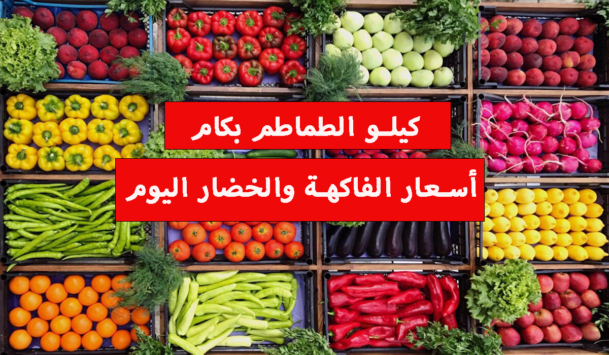 كيلو الطماطم بكام؟.. أسعار الفاكهة والخضار اليوم الجمعة 19 يناير في الأسواق المحلية