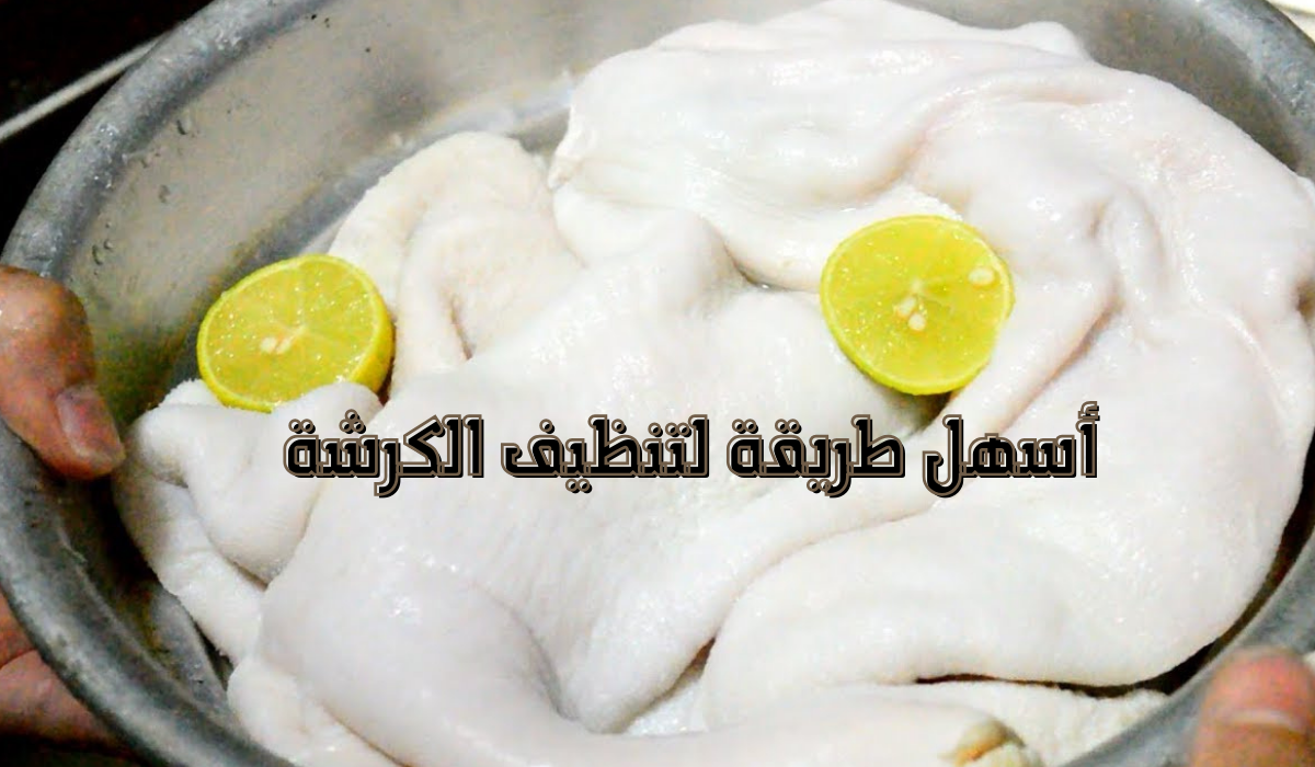 أسهل طريقة لتنظيف الكرشة وإزالة رائحتها بالكامل 5 أسهل طريقة لتنظيف الكرشة وإزالة رائحتها بالكامل