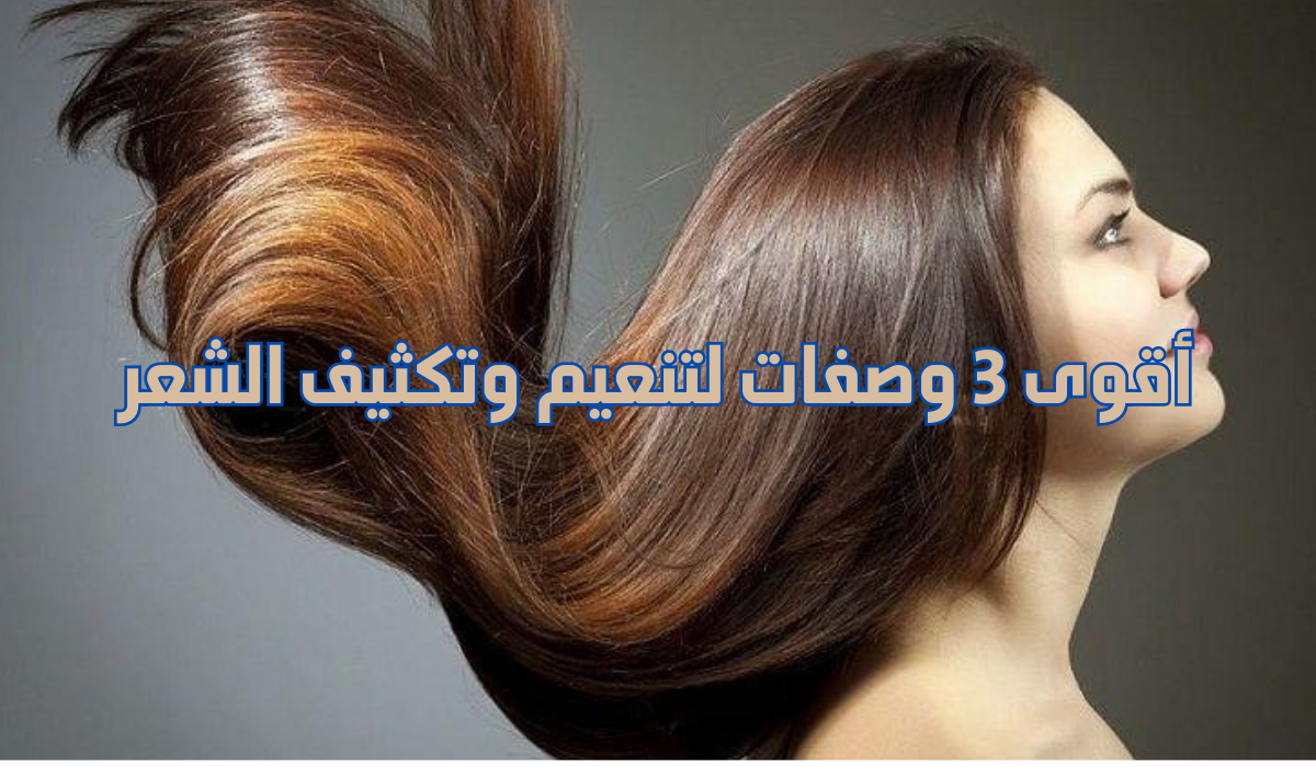 أقوى 3 وصفات طبيعية لتنعيم وتكثيف الشعر هتبهرك النتيجة 5 أقوى 3 وصفات طبيعية لتنعيم وتكثيف الشعر هتبهرك النتيجة
