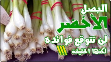 لازم تاكل منه كل يوم..تعرف على أهمية وفوائد البصل الأخضر والأمراض التي يعالجها مش هتبطل تاكله من النهاردة