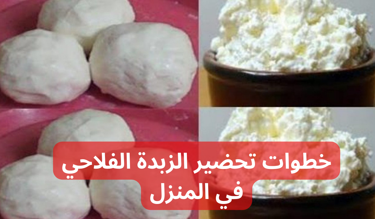 “محدش هيقولك عليها” .. بكيلو حليب واحد بس !!.. هتعملي أكبر كمية من الزبدة في البيت!!
