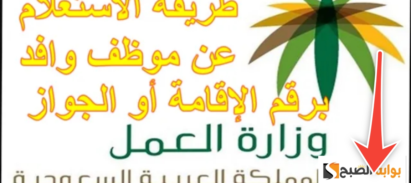 الاستعلام عن تصريح العمل برقم الطلب والمستندات المطلوبة 2024 - 1445 5 الاستعلام عن تصريح العمل برقم الطلب والمستندات المطلوبة 2024 – 1445