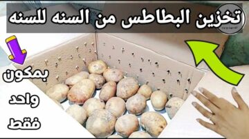 طريقة الحفاظ على البطاطس طازجة من السنة للسنة خزني برحتك