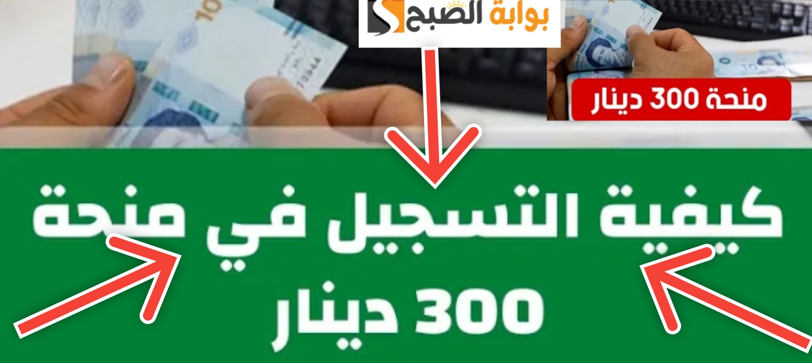 كيفية التسجيل في منحة 300 دينار بعد تحديث الشروط وخطوات التقديم 2024