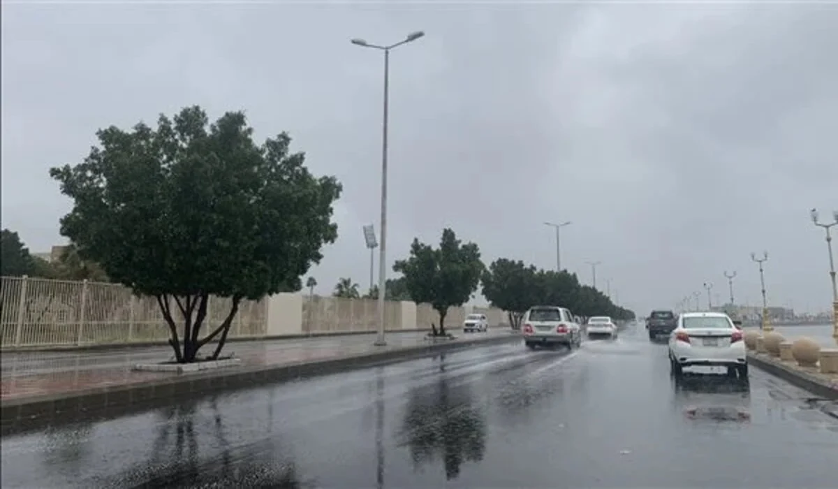 متى يخلص الشتاء في السعودية 1445 هذا العام 5 متى يخلص الشتاء في السعودية 1445 هذا العام