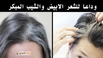 قناع القهوة مع الحنة لإزالة الشيب والقضاء على الشعر الأبيض نهائيا “بدون صبغات كيميائية”
