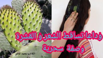 وصفة طبيعية من الصبار وزيت الزيتون لعلاج تساقط الشعر والهيشان “شعرك هيرجع أحسن من الأول”