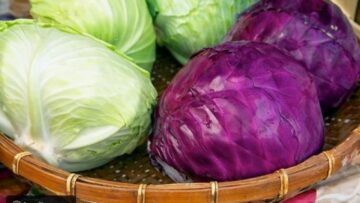 أسرار الصحة في الملفوف كيف يعزز هذا الخضار العجيب صحتك تعرف على فوائده الجبارة