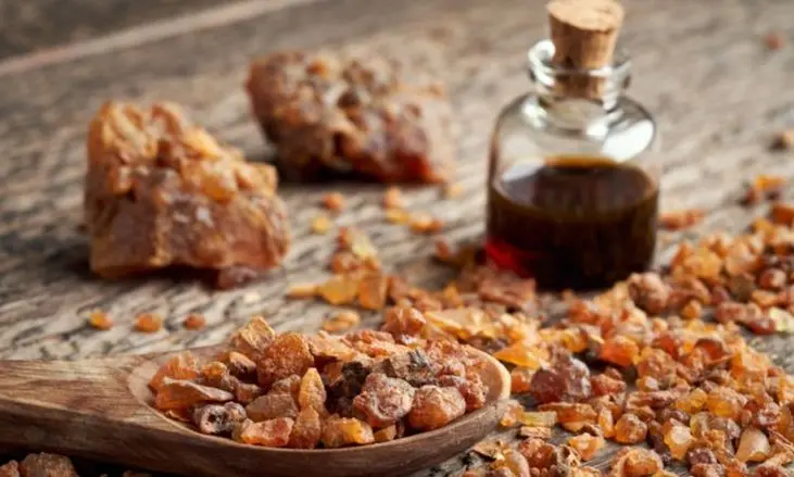 طرق استخدام المر للقضاء علي الهالات السوداء 5 طرق استخدام المر للقضاء علي الهالات السوداء